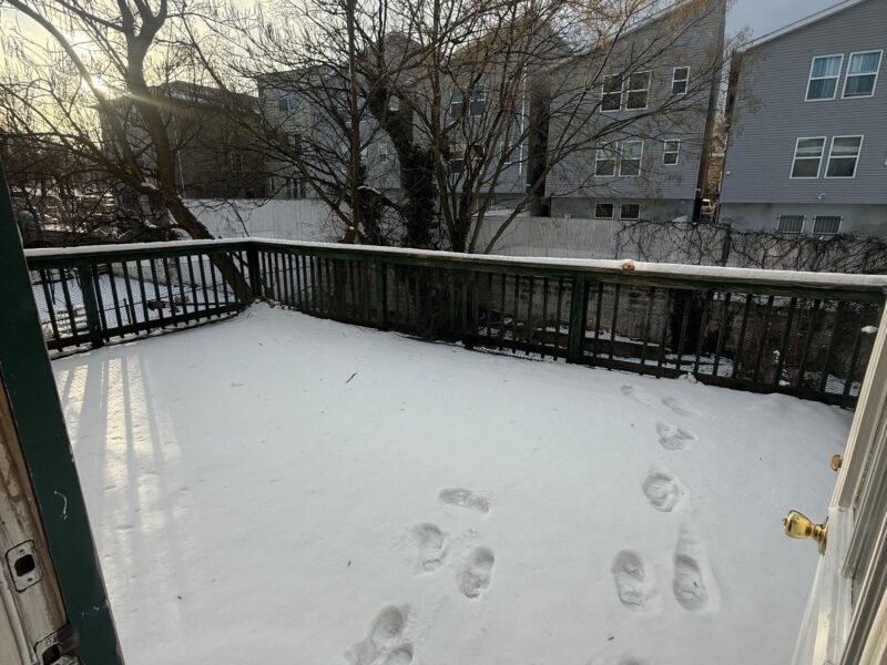 24 N Fifth St Newark, NJ 07107