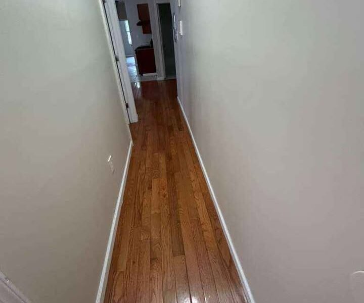 144 Alexander Street #1, Newark, Nueva Jersey, EE. UU.