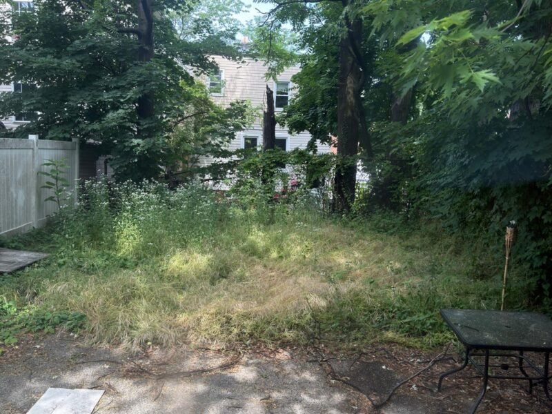 591 S 19th St #1, Newark, Nueva Jersey, EE. UU.