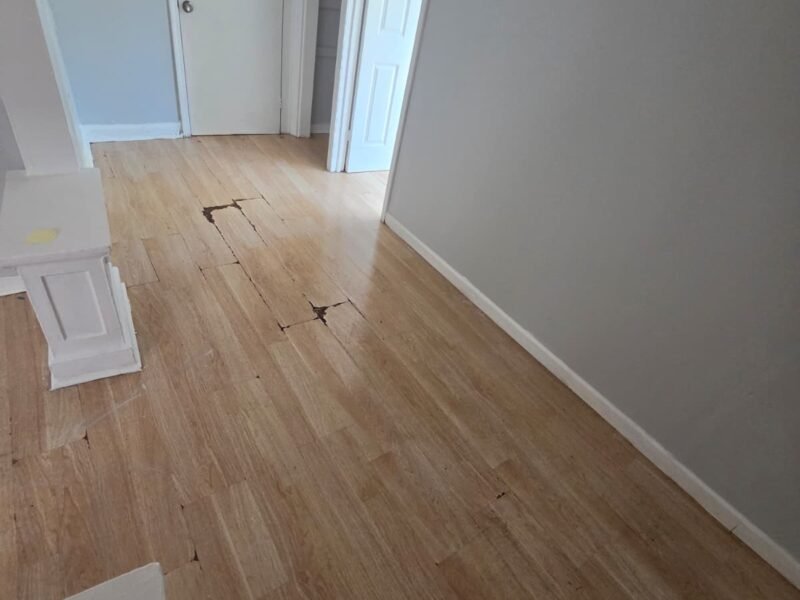 158 Parker St #2, Newark, Nueva Jersey, EE. UU.