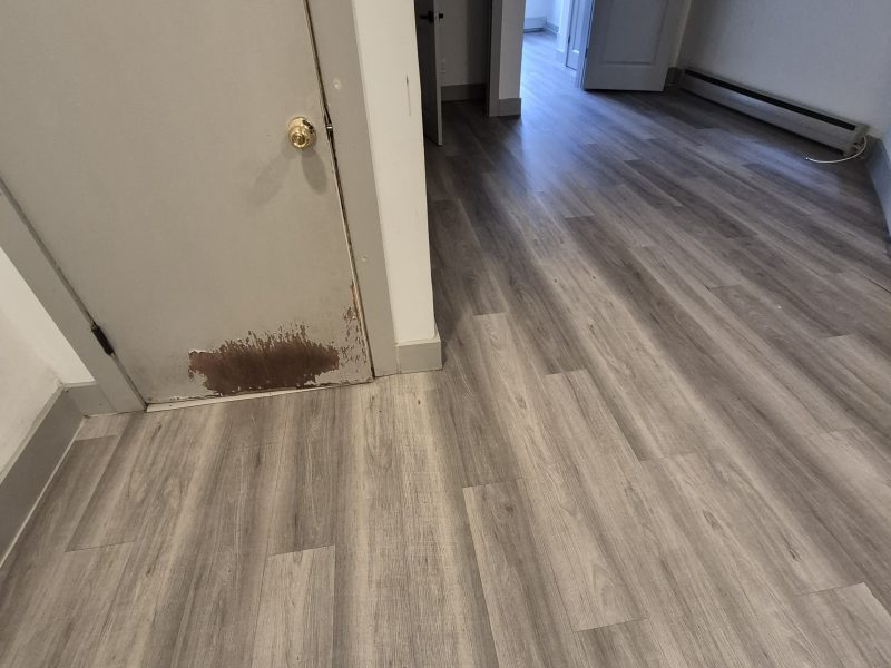 83 Bostwick Avenue #1L, Jersey City, Nueva Jersey, EE. UU.