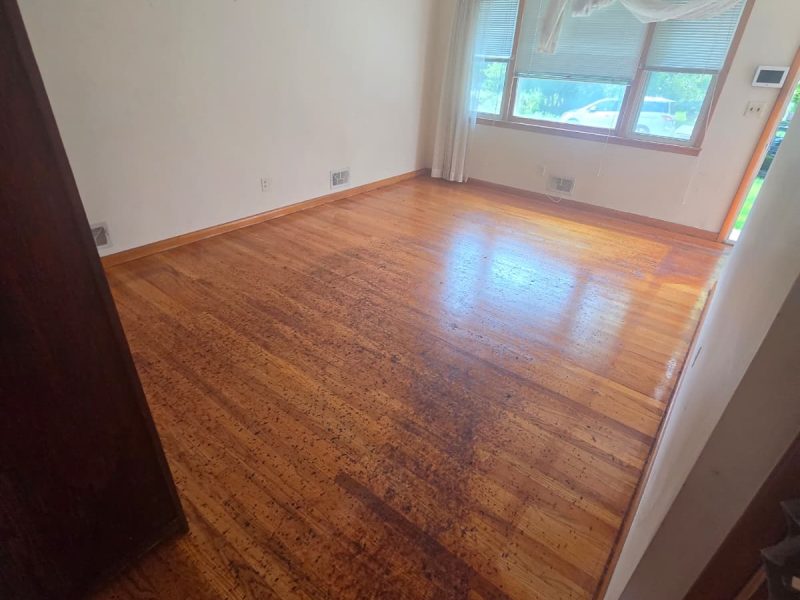 204 Carolyn Single #Family, Colonia, Nueva Jersey, EE. UU.