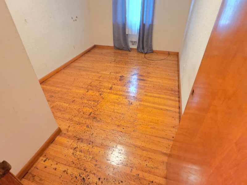 204 Carolyn Single #Family, Colonia, Nueva Jersey, EE. UU.